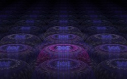 2014 04 30 Webs and Things 53-black.jpg